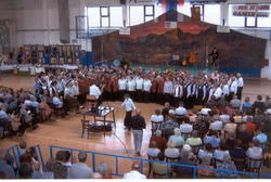 VI. revija pevskih zborov DI ZDIS, 31.5.2004, ÂŠentjur pri Celju
