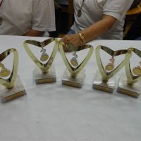 Pokali, ki so jih osvojili članice in člani DI Hrastnik