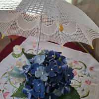 Aktivnosti DI Trbovlje v zadnjem trimesečju leta 2025