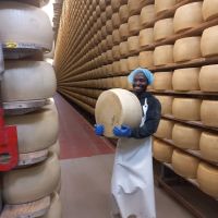 Novičke iz DI Trbovlje