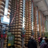 Novičke iz DI Trbovlje