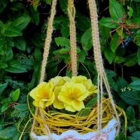 Delavnica IZDELKI IZ PAPIRJA, Simonov zaliv Izola 19.02. - 26.02.2026