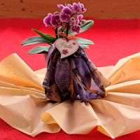 Delavnica DECOUPAGE - SERVIETNA TEHNIKA , Radenci 09.10. - 16.10.2025