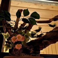 Razstava sekcije ročnih del DI Zagorje ob Savi ob mednarodnem dnevu invalidov 