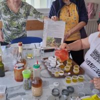 Delavnica - SPOZNAVANJE IN UPORABA ZDRAVILNIH ZELIŠČ, Radenci 13.03.- 20.03.2025