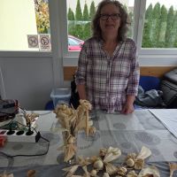 Delavnica IZDELKI IZ LIČJA, Radenci 06.11. - 13.11.2025