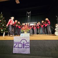 Proslava DI Metlika ob mednarodnem dnevu invalidov