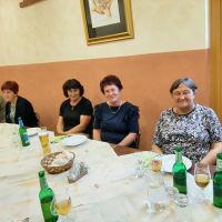 MDDI Šentjur – Romanje na Brezje