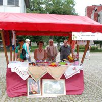 ODI Dravinjske doline: Invalidi na Entente Florale