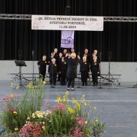 26. revija pevskih zborov DI ZDIS, Avditorij Portorož