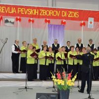 18. revija pevskih zborov DI ZDIS, Logatec, 14.5.2016