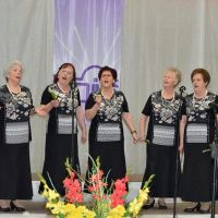 18. revija pevskih zborov DI ZDIS, Logatec, 14.5.2016