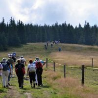 DI Slovenj Gradec: 28. planinski dan invalidov - Kope