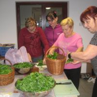 Radenci - delavnica SPOZNAVANJE IN UPORABA ZDRAVILNIH ZELIŠČ, 14.03. - 21.03.2023