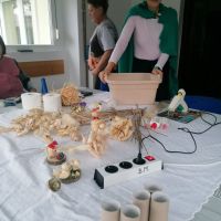 Delavnica IZDELKI IZ LIČJA, Radenci 06.11. - 13.11.2025