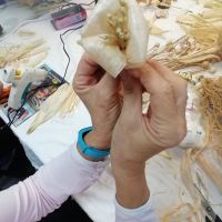 Delavnica IZDELKI IZ LIČJA, Radenci 06.11. - 13.11.2025