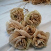 Delavnica IZDELKI IZ LIČJA, Radenci 06.11. - 13.11.2025