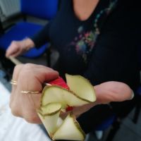 Delavnica IZDELKI IZ LIČJA, Radenci 06.11. - 13.11.2025