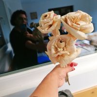 Delavnica IZDELKI IZ LIČJA, Radenci 06.11. - 13.11.2025