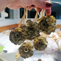 Delavnica IZDELKI IZ LIČJA, Radenci 06.11. - 13.11.2025