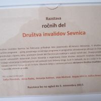 DI Sevnica: Razstava ročnih del