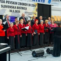 Mešani pevski zbor DI Vrhnika