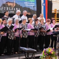 28. revija pevskih zborov DI ZDIS