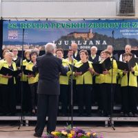 28. revija pevskih zborov DI ZDIS