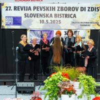 Pevski zbor MDI Domžale