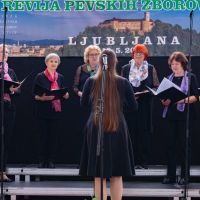 28. revija pevskih zborov DI ZDIS