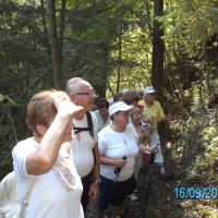 MDI ''Drava'' Radlje ob Dravi: Pohod po vodni učni poti