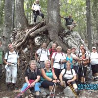 MDI »Drava« Radlje ob Dravi: Potepanje po Logarski dolini