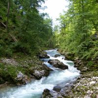 DI Hrastnik: Ogled Vintgarja, potem pa okrog Blejskega jezera