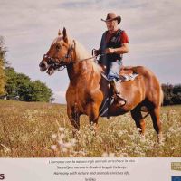 Sprejem pri predsednici DZ RS in otvoritev fotografske razstave »Nič drugačno življenje«