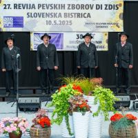 Ribniški fantje, MDI Drava, Radlje ob Dravi
