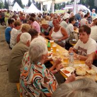 DI Hrastnik: Tradicionalno planinsko srečanje invalidov na Kopah