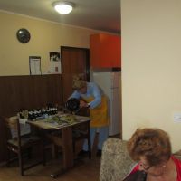 Delavnice ZDIS: Spoznavanje in uporaba zdravilnih zelišč