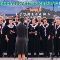 28. revija pevskih zborov DI ZDIS