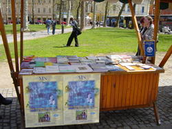 Tovornjak raznolikosti