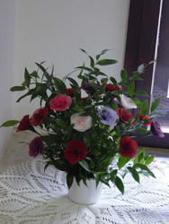 DSC01964.jpg