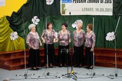 013_Slovenj_Gradec_005