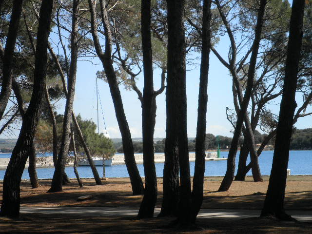 P4210131.JPG