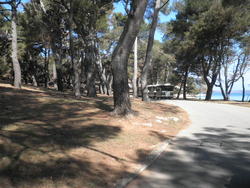 P4210044.JPG