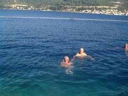 Vis (10)