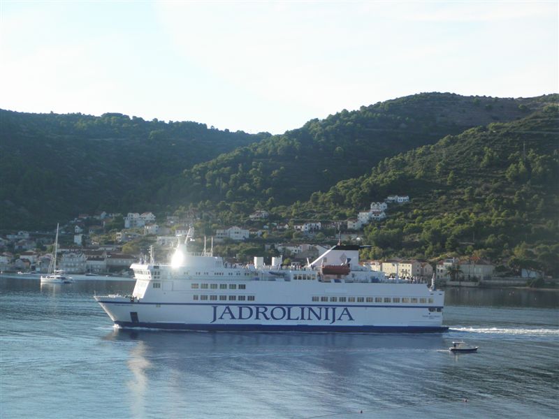 Vis
